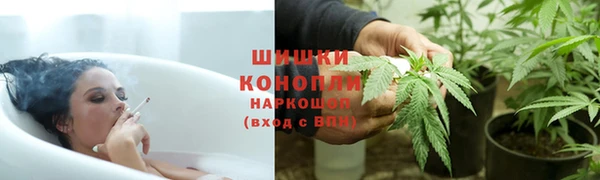 соль ск Богданович