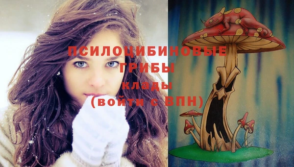 метамфетамин Белокуриха