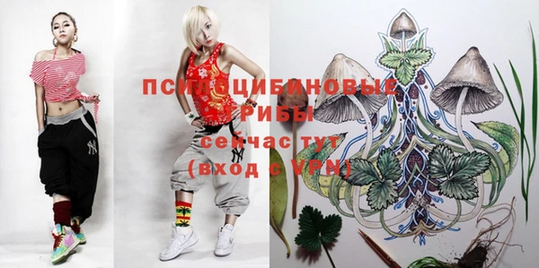 гидропоника Беломорск