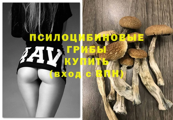 метамфетамин Белокуриха