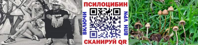Галлюциногенные грибы ЛСД  Болотное 